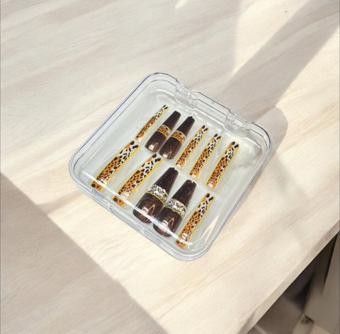 Vintage Transparent Coffin - Press On Nails